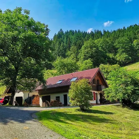 Appartement 2-room Heidi-house Surrounded By Woods And Meadows Schiltach
