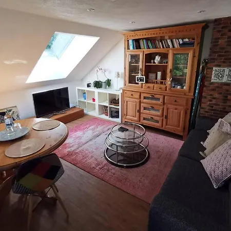 2-room Heidi-house Surrounded By Woods And Meadows Appartement Schiltach