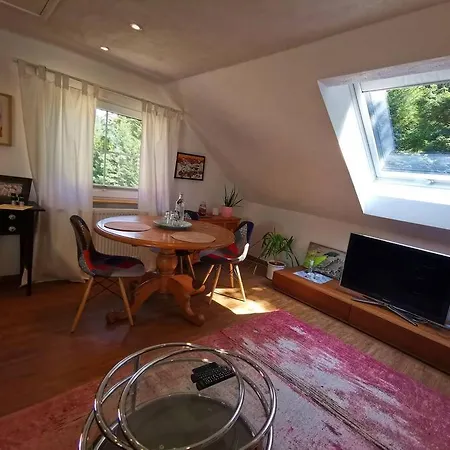 2-room Heidi-house Surrounded By Woods And Meadows Schiltach