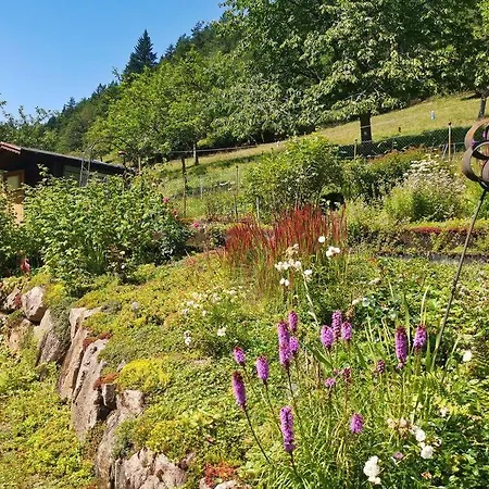 2-room Heidi-house Surrounded By Woods And Meadows Appartement *