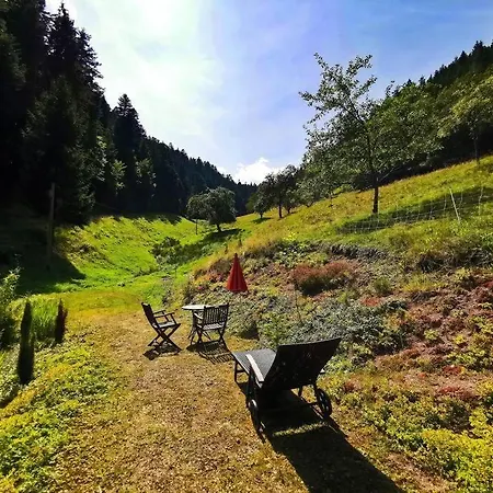 2-room Heidi-house Surrounded By Woods And Meadows Appartement Schiltach