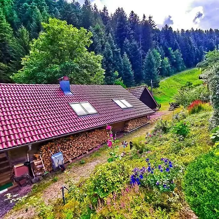 2-room Heidi-house Surrounded By Woods And Meadows * Schiltach