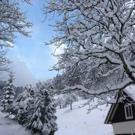 2-room Heidi-house Surrounded By Woods And Meadows